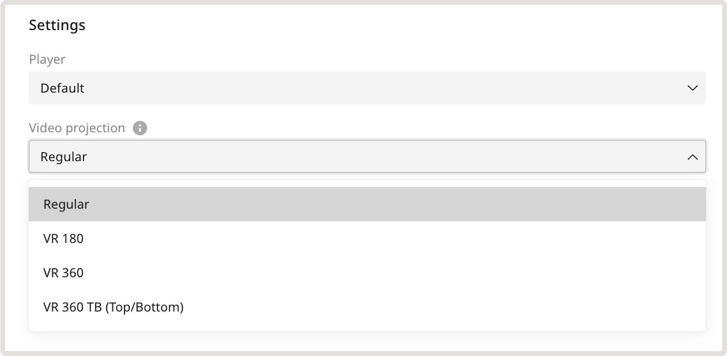 Player customization & projection settings