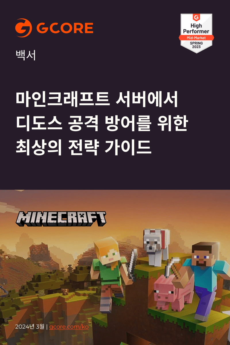 마인크래프트 서버 디도스 공격 방어 전략 가이드